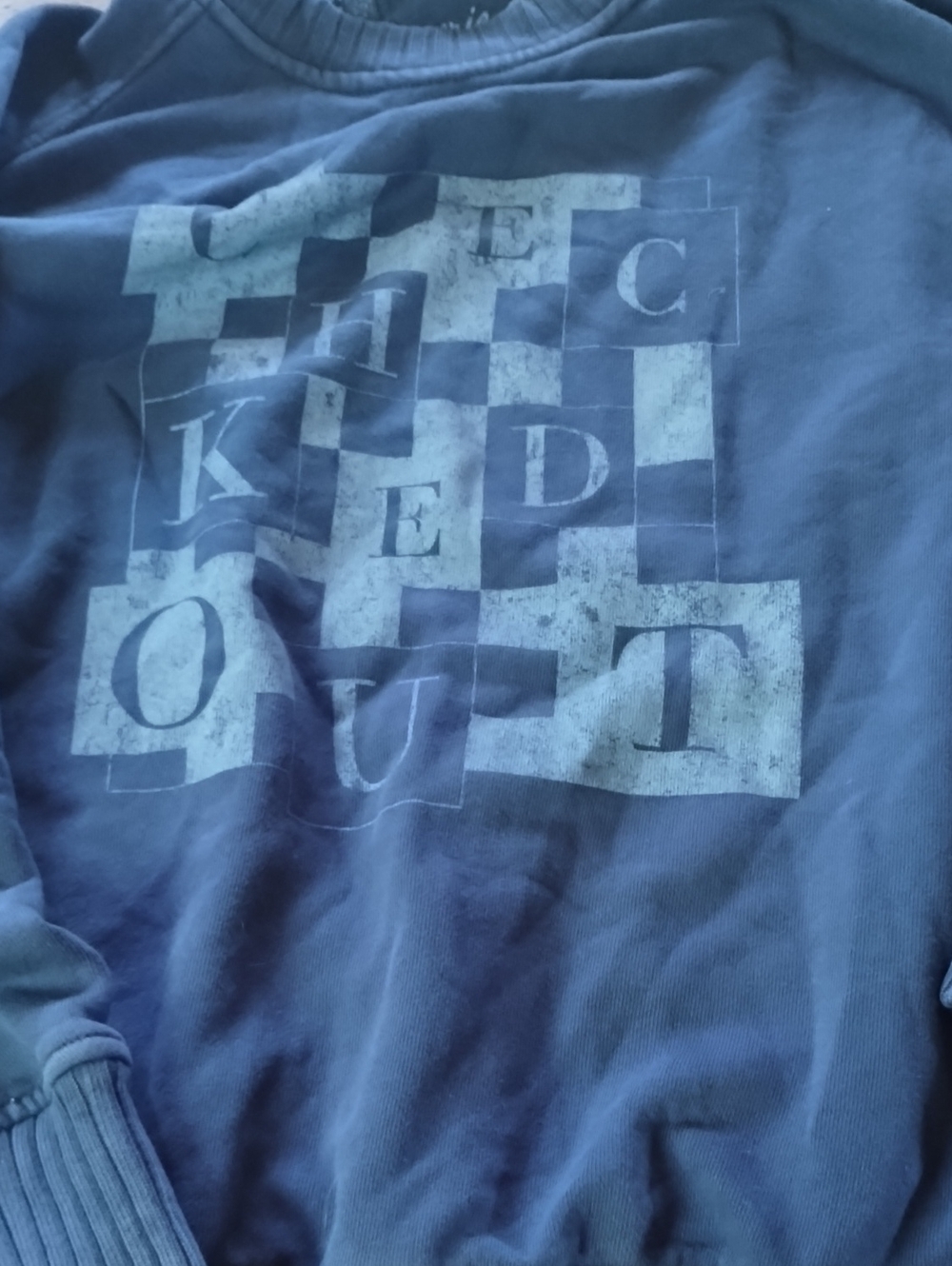 aerie Blue Graphic Crew Neck Sweatshirt